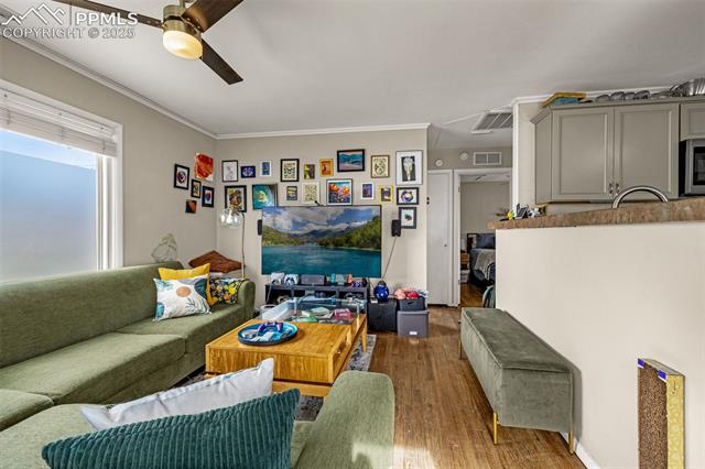 MLS Image for 3119  Arcadia  ,Colorado Springs, Colorado