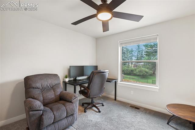 MLS Image for 114  Chester  ,Woodland Park, Colorado