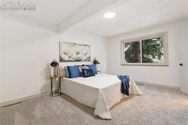 MLS Image for 2838  Shadowglen  ,Colorado Springs, Colorado