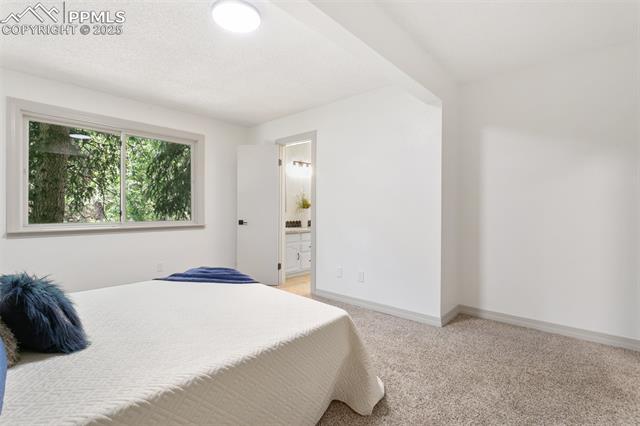 MLS Image for 2838  Shadowglen  ,Colorado Springs, Colorado