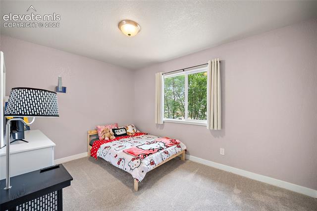 MLS Image for 2523  Ember  ,Colorado Springs, Colorado