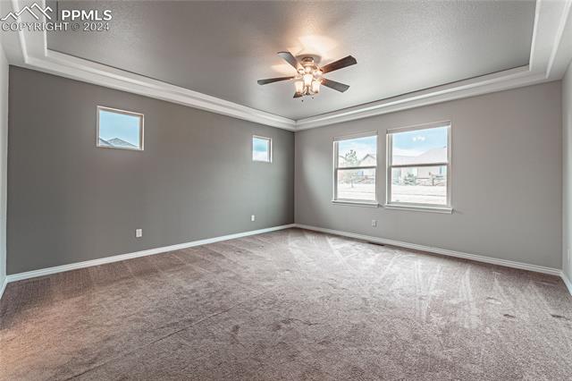 MLS Image for 7138  Spring Linden  ,Colorado Springs, Colorado