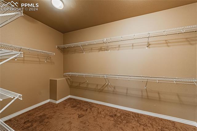 MLS Image for 7138  Spring Linden  ,Colorado Springs, Colorado