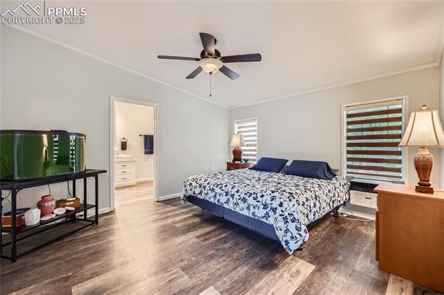MLS Image for 9348  Summer Meadows  ,Colorado Springs, Colorado