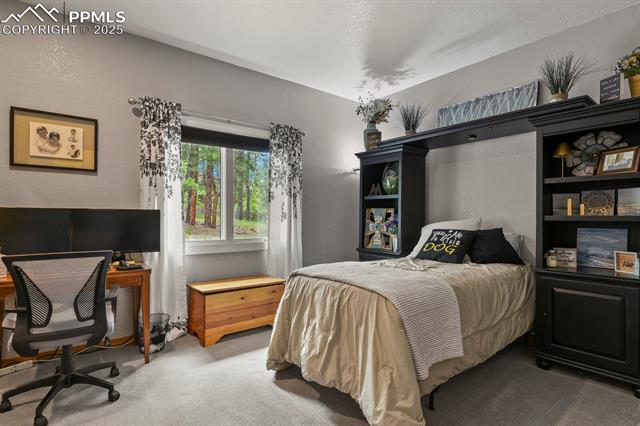 MLS Image for 929  Tenderfoot  ,Larkspur, Colorado