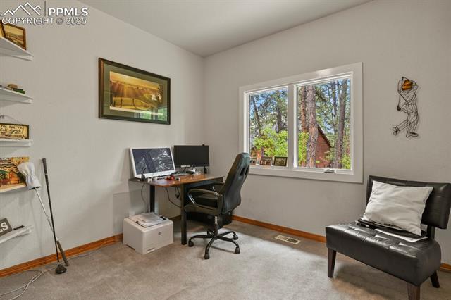 MLS Image for 929  Tenderfoot  ,Larkspur, Colorado