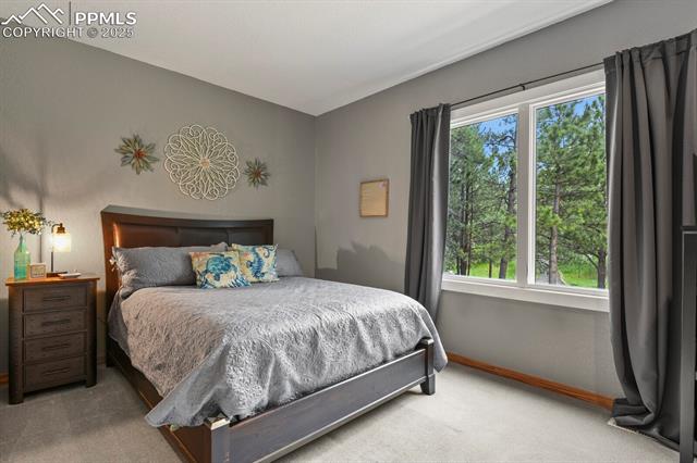 MLS Image for 929  Tenderfoot  ,Larkspur, Colorado