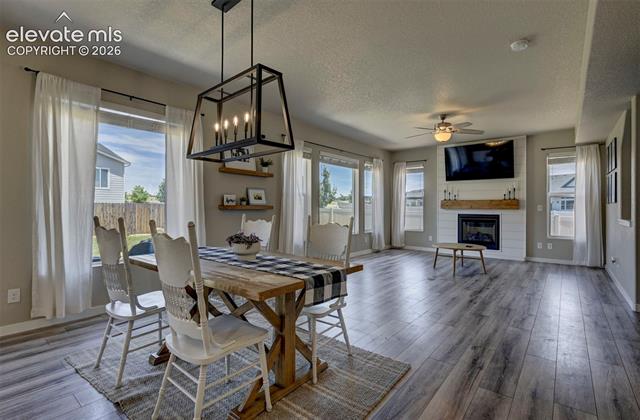 MLS Image for 9186  Cut Bank  ,Colorado Springs, Colorado