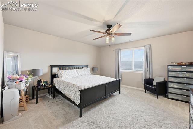 MLS Image for 6867  Oak Vine  ,Colorado Springs, Colorado