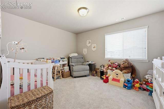 MLS Image for 6867  Oak Vine  ,Colorado Springs, Colorado