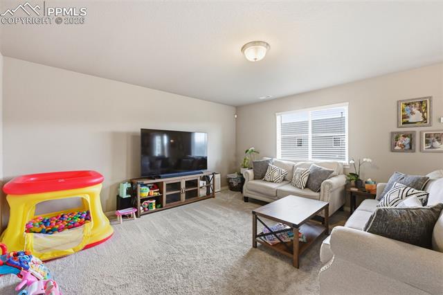 MLS Image for 6867  Oak Vine  ,Colorado Springs, Colorado