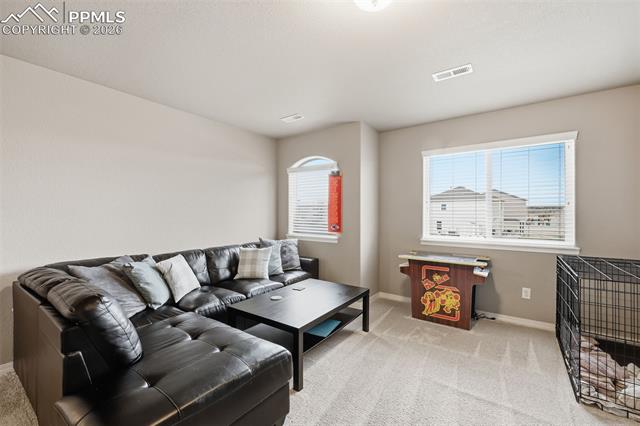 MLS Image for 6867  Oak Vine  ,Colorado Springs, Colorado