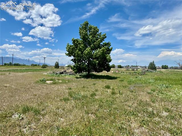 MLS Image for 11585  Orleans  ,Fountain, Colorado