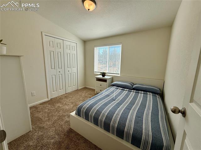 MLS Image for 61  Stripling  ,Divide, Colorado