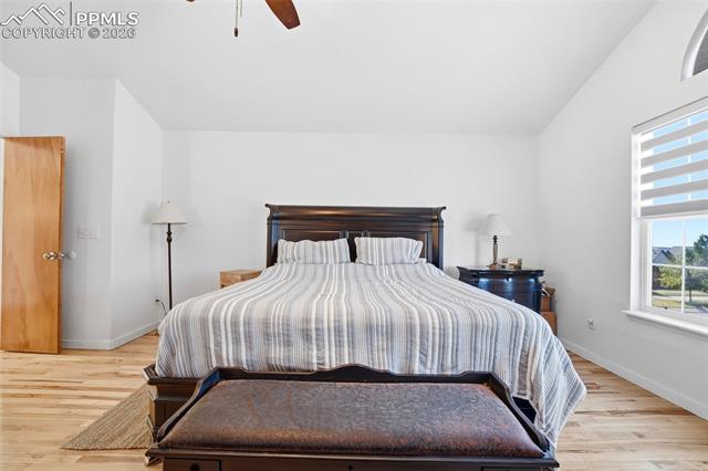 MLS Image for 656  Junegrass  ,Colorado Springs, Colorado