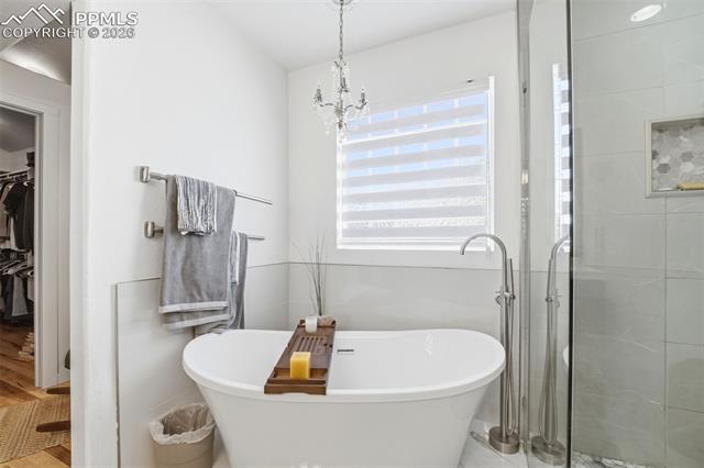 MLS Image for 656  Junegrass  ,Colorado Springs, Colorado