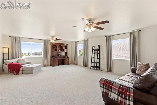 MLS Image for 2245  Reed Grass  ,Colorado Springs, Colorado