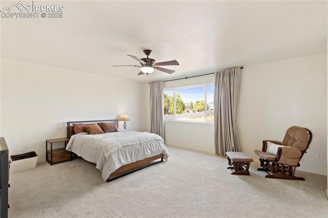 MLS Image for 2245  Reed Grass  ,Colorado Springs, Colorado
