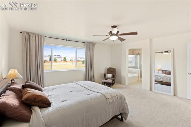 MLS Image for 2245  Reed Grass  ,Colorado Springs, Colorado