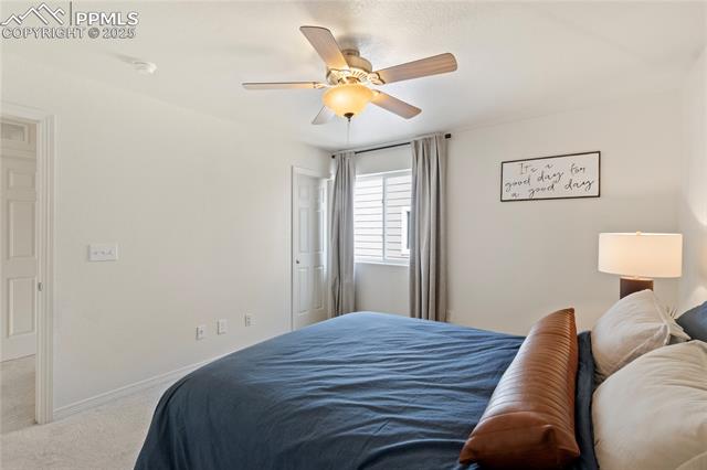 MLS Image for 2245  Reed Grass  ,Colorado Springs, Colorado