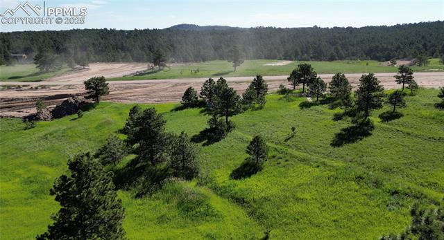 MLS Image for 17629  Emerson Cliff  ,Colorado Springs, Colorado