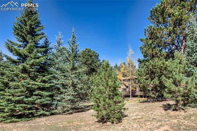 MLS Image for 160 E Lovell Gulch  ,Woodland Park, Colorado