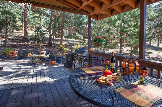 MLS Image for 160 E Lovell Gulch  ,Woodland Park, Colorado