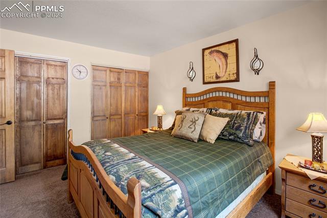 MLS Image for 160 E Lovell Gulch  ,Woodland Park, Colorado