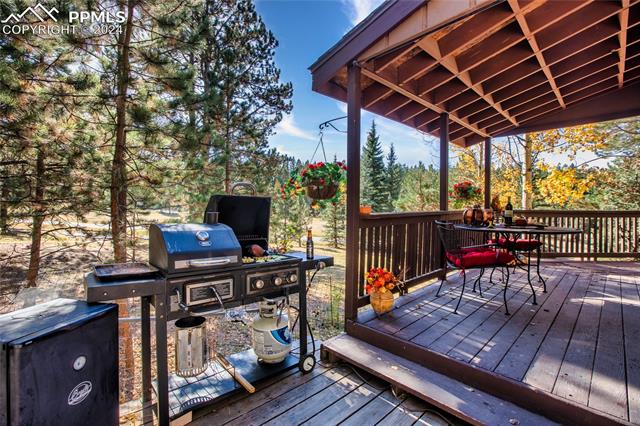 MLS Image for 160 E Lovell Gulch  ,Woodland Park, Colorado