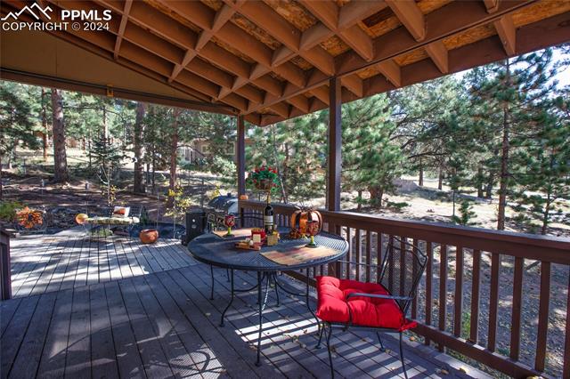 MLS Image for 160 E Lovell Gulch  ,Woodland Park, Colorado