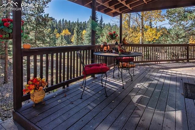 MLS Image for 160 E Lovell Gulch  ,Woodland Park, Colorado