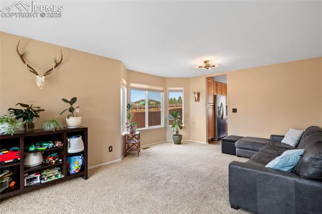 MLS Image for 6428  Showhorse  ,Colorado Springs, Colorado