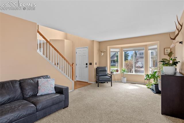 MLS Image for 6428  Showhorse  ,Colorado Springs, Colorado