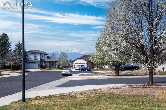 MLS Image for 6428  Showhorse  ,Colorado Springs, Colorado