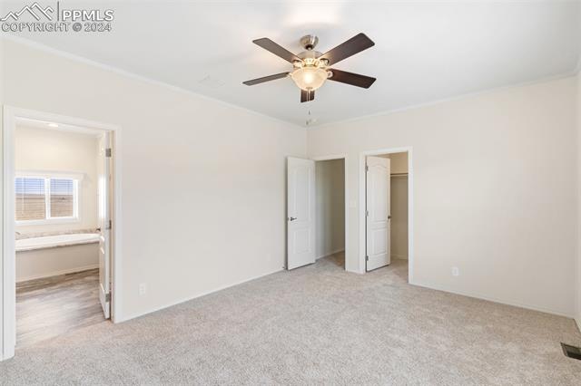 MLS Image for 7353  Halex  ,Colorado Springs, Colorado