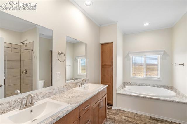 MLS Image for 7353  Halex  ,Colorado Springs, Colorado