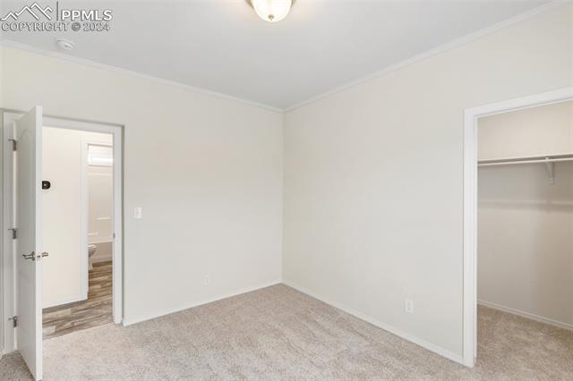 MLS Image for 7353  Halex  ,Colorado Springs, Colorado