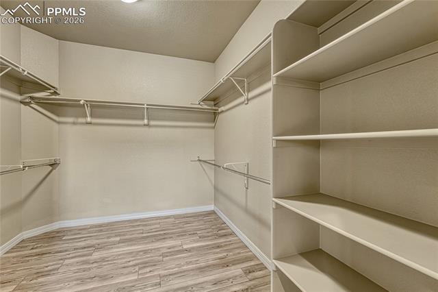 MLS Image for 5707  Flicka  ,Colorado Springs, Colorado