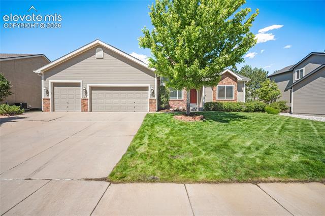 9829  TreeLake  , colorado springs&nbsp; House Search MLS Picture
