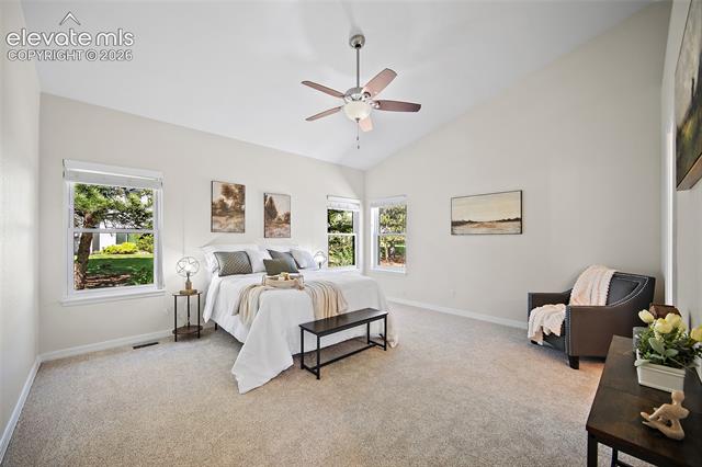MLS Image for 9829  TreeLake  ,Colorado Springs, Colorado