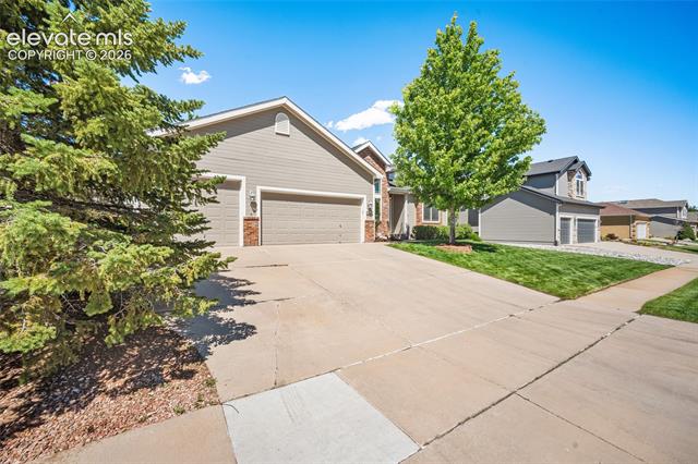 MLS Image for 9829  TreeLake  ,Colorado Springs, Colorado
