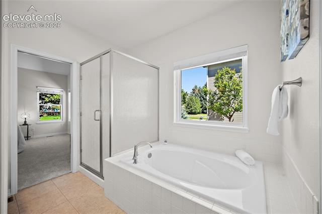 MLS Image for 9829  TreeLake  ,Colorado Springs, Colorado