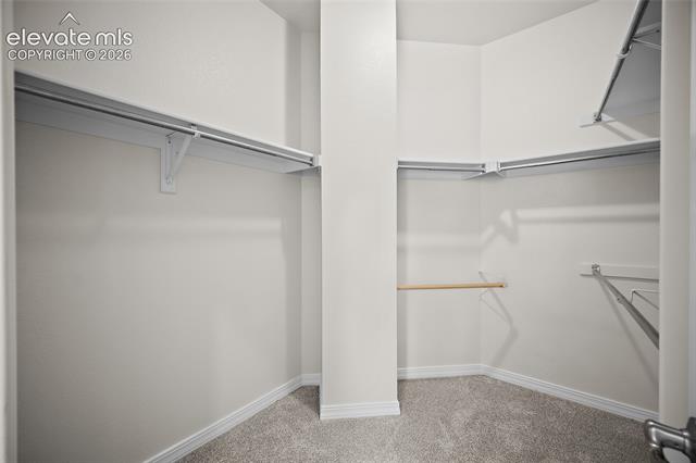 MLS Image for 9829  TreeLake  ,Colorado Springs, Colorado
