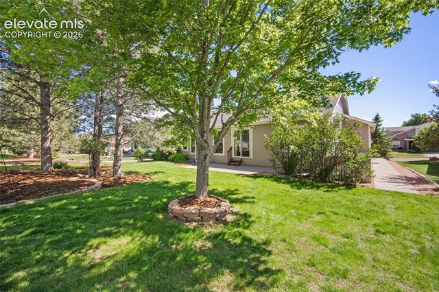 MLS Image for 9829  TreeLake  ,Colorado Springs, Colorado