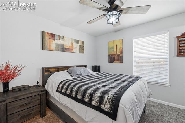 MLS Image for 185  Circle  ,Florissant, Colorado
