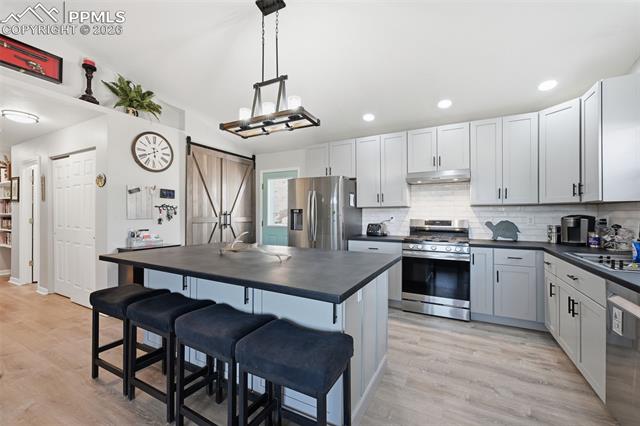 MLS Image for 185  Circle  ,Florissant, Colorado