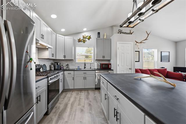 MLS Image for 185  Circle  ,Florissant, Colorado