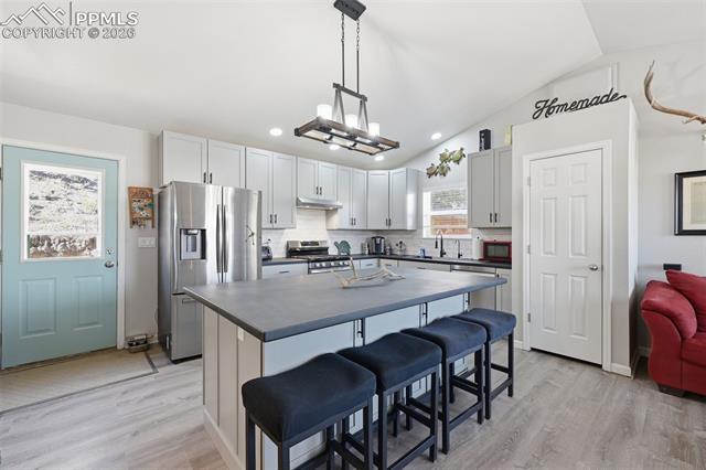 MLS Image for 185  Circle  ,Florissant, Colorado