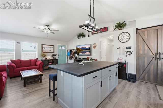 MLS Image for 185  Circle  ,Florissant, Colorado
