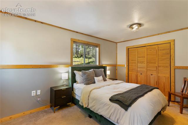 MLS Image for 173  Deerview  ,Florissant, Colorado